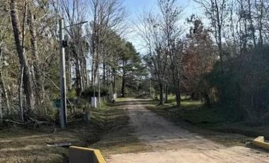 Terreno en venta - 1.527Mts2 - Los Pinos, Exaltación de la Cruz