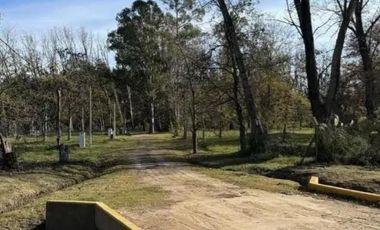 Terreno en venta - 1.527Mts2 - Los Pinos, Exaltación de la Cruz