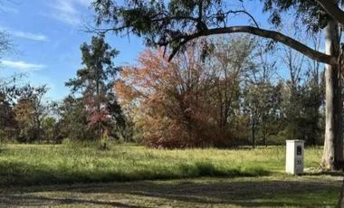 Terreno en venta - 1.527Mts2 - Los Pinos, Exaltación de la Cruz