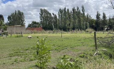 Venta Terreno - Salvador Maria- Lobos