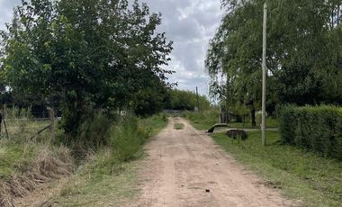 Venta Terreno - Salvador Maria- Lobos