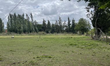 Venta Terreno - Salvador Maria- Lobos