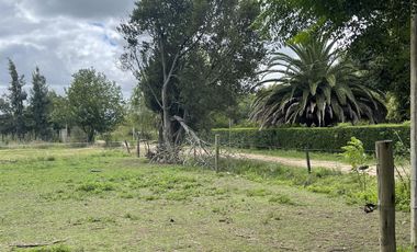 Venta Terreno - Salvador Maria- Lobos