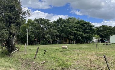 Venta Terreno - Salvador Maria- Lobos