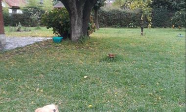 Venta - Casa quinta/ 2 ambientes -Jardin - Tortuguitas, Malvinas Argentinas