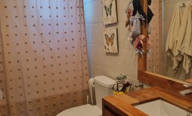 CUNACO, A PASOS DE VIÑA VIU MANENT