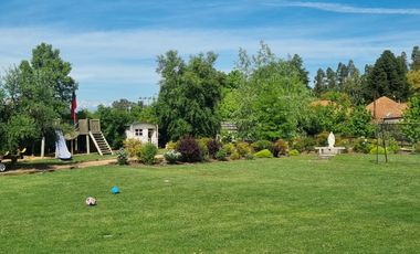 CUNACO, A PASOS DE VIÑA VIU MANENT