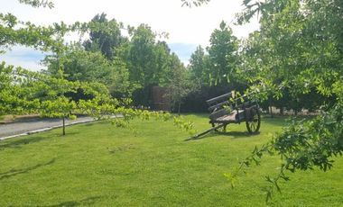 CUNACO, A PASOS DE VIÑA VIU MANENT