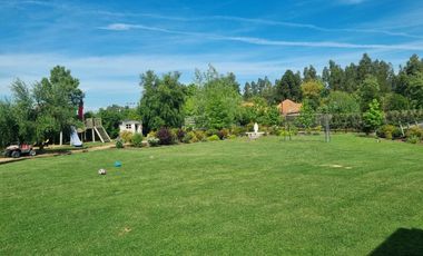 CUNACO, A PASOS DE VIÑA VIU MANENT