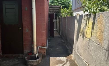 PAUL GAUGUIN CON DIEGO RIVERA