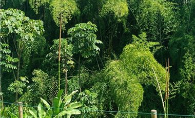 Se Vende Casa Campestre en Cerritos, Pereira