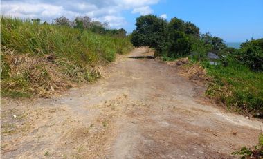 Esmeraldas Montalvo, Terreno en Venta, 21.461m2