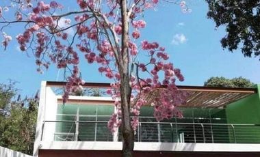 EN VENTA HERMOSA PROPIEDAD CON ALBERCA EN EX HACIENDA KALA, CAMPECHE.