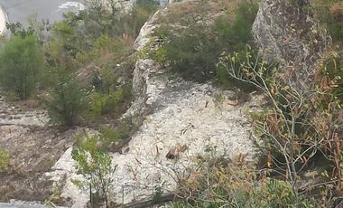 Terreno - Las Aguilas