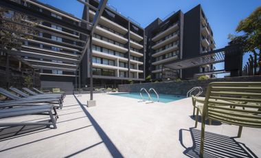 Alférez Real (1 Bod) [3203-6]