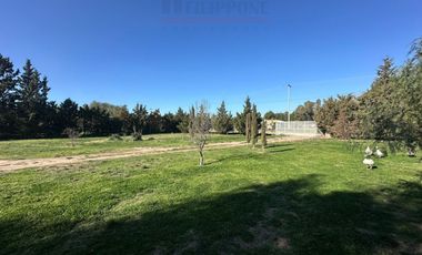 Casaquinta de 2 dormitorios en venta - B° Los Chañares