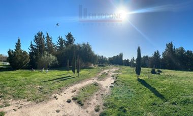 Casaquinta de 2 dormitorios en venta - B° Los Chañares