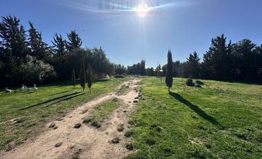 Casaquinta de 2 dormitorios en venta - B° Los Chañares