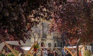 Casa en arriendo en SANTIAGO