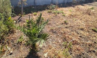 Callejón El rosal/Camino a Quillay - Casa - Venta