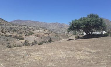 Autopista Los Libertadores/Los libertadores - Parcela - Venta