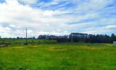 Parcela en venta en LOS MUERMOS