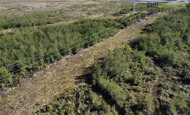 Sitio en Venta en Ruta 5, al frente del cruce Paredes