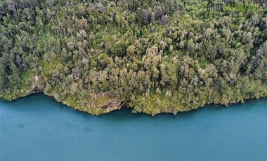 Agrícola en Venta en 83 hás a 1,5 km del Lago Tagua Tagua