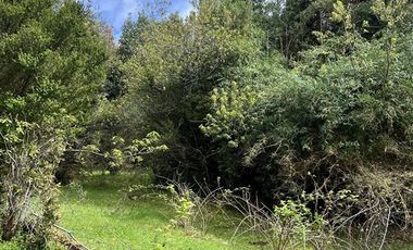 Agrícola en Venta en 83 hás a 1,5 km del Lago Tagua Tagua