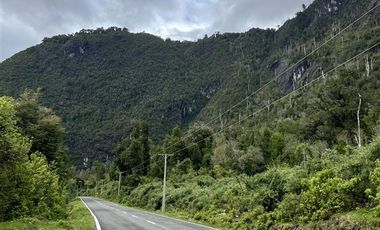 Agrícola en Venta en 83 hás a 1,5 km del Lago Tagua Tagua