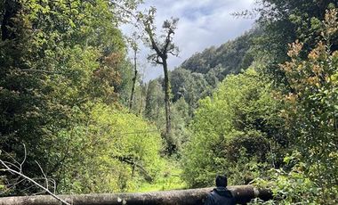 Agrícola en Venta en 83 hás a 1,5 km del Lago Tagua Tagua