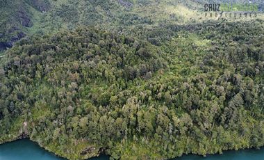 Agrícola en Venta en 83 hás a 1,5 km del Lago Tagua Tagua