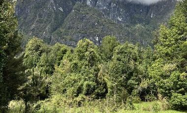 Agrícola en Venta en 83 hás a 1,5 km del Lago Tagua Tagua
