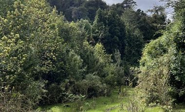 Agrícola en Venta en 83 hás a 1,5 km del Lago Tagua Tagua