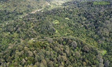 Agrícola en Venta en 83 hás a 1,5 km del Lago Tagua Tagua