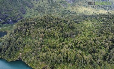 Agrícola en Venta en 83 hás a 1,5 km del Lago Tagua Tagua