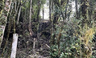 Agrícola en Venta en 83 hás a 1,5 km del Lago Tagua Tagua