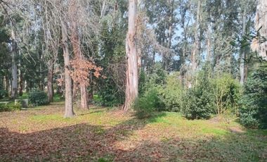 Country el Paraiso Alquiler