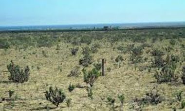 PARCELA CON ROL PROPIO 5001 M2