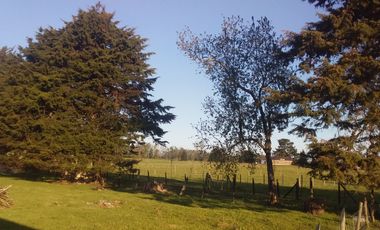 PARCELA CON CASA EN LAS QUEMAS