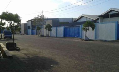 Gudang Mutiara Tambak Langoon