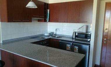 Arriendo departamento amoblado 1D-1B