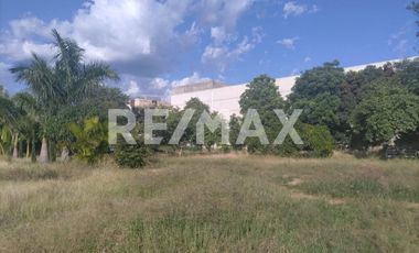 Oportunidad de Inversión: Terreno en Paraje Lomas de Nazareno - (3)