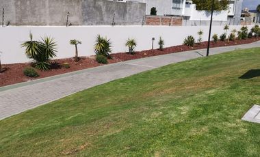 Casa en renta en Juriquilla