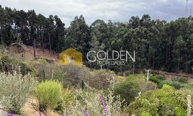 Departamento en Arriendo en Barrio La Foresta /. Reñaca