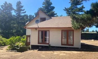 PINARES DE ALGARROBO