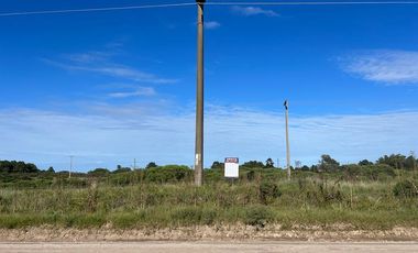 Loteo en Manzana, entre calles 37-39 y 100-98