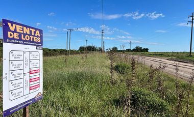 Loteo en Manzana, entre calles 37-39 y 100-98