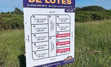 Loteo en Manzana, entre calles 37-39 y 100-98