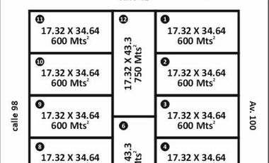 Lotes en Av. 100 y 98 - 39 y 41